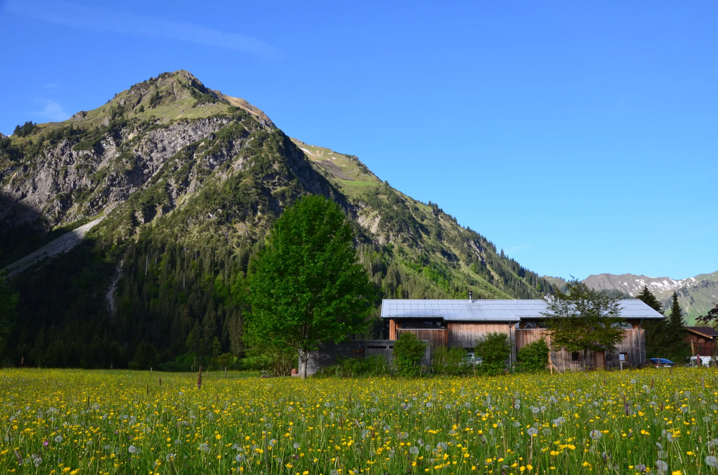Garten der Ferienwohnung HEIMET mit Bergkulisse