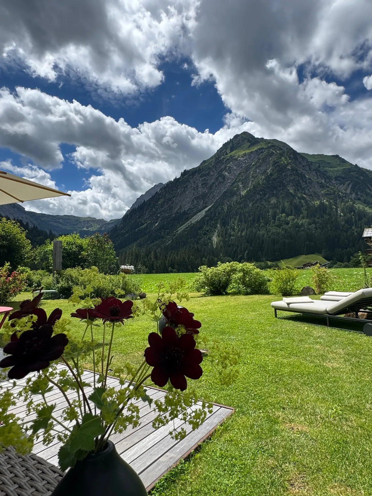 Blick von der Terrasse über den Garten auf die Bergkulisse, Blumen im Vordergrund